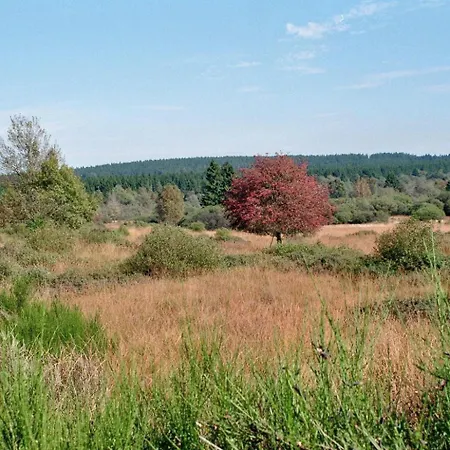 Zimmermanns 1 Appartement Monschau
