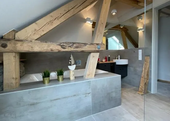 Zimmermanns 1 蒙绍