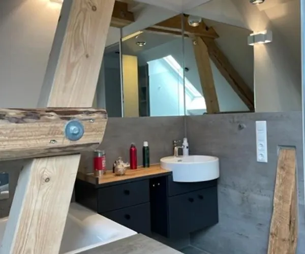 Zimmermanns 1 * 蒙绍