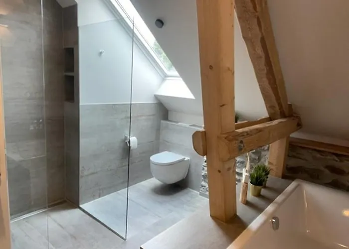 Zimmermanns 1 * 蒙绍