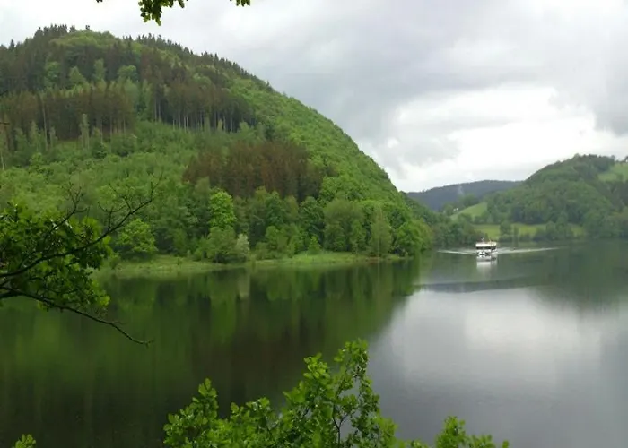 Zimmermanns 1 * 蒙绍