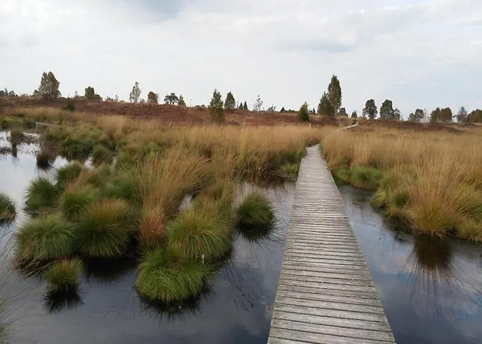 Zimmermanns 1 公寓 蒙绍