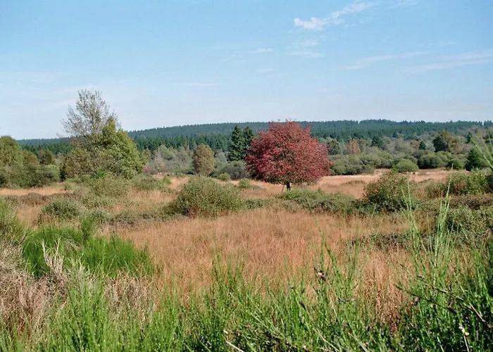 Zimmermanns 1 公寓 蒙绍